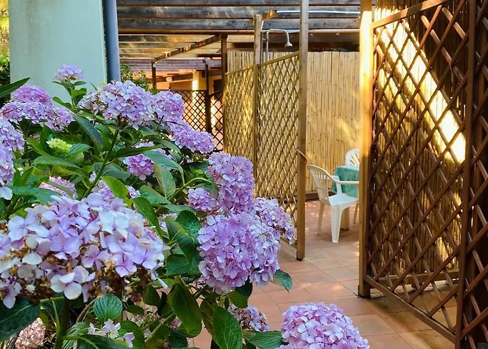 Rainbow House Pinus Village Apartman