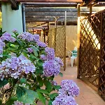 Rainbow House Pinus Village Διαμέρισμα