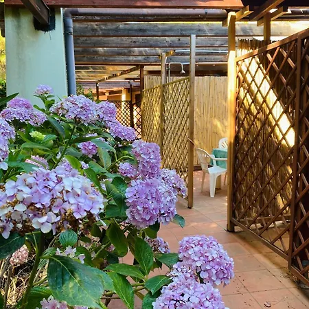 Rainbow House Pinus Village Apartamento