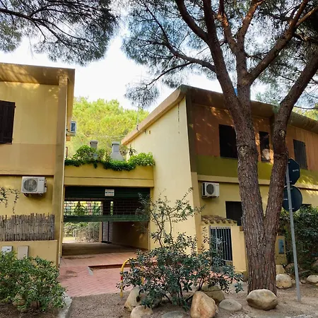 Rainbow House Pinus Village Fort Village